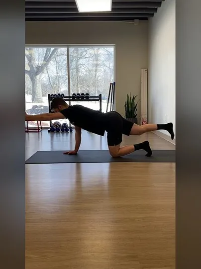 Birddog exercise demonstration