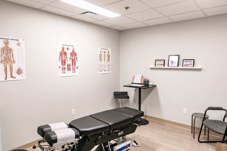 Chiropractic room with anatomy charts